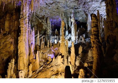 沖縄の鍾乳洞　玉泉洞 127655955