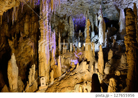 沖縄の鍾乳洞　玉泉洞 127655956