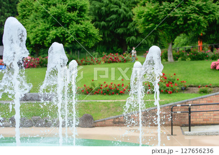 噴水設置された東沢バラ公園　2025年　山形県　 127656236