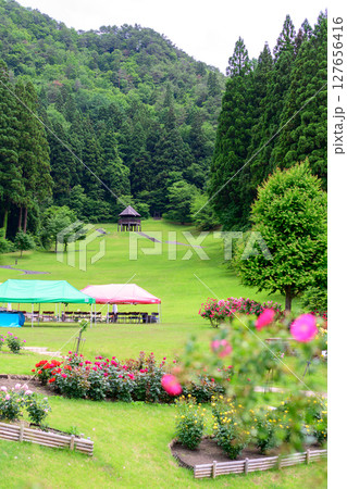 咲きそろった東沢バラ公園　山形県　 127656416