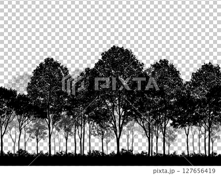 並木道と木々の美しいシルエット木立のシルエット | Silhouettes of Trees Lin 127656419