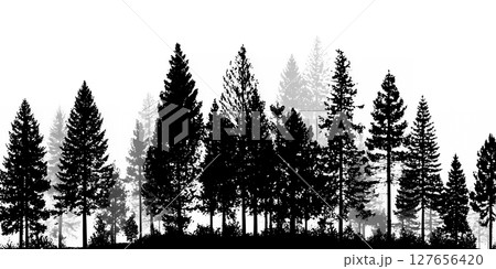 並木道と木々の美しいシルエット木立のシルエット | Silhouettes of Trees Lin 127656420