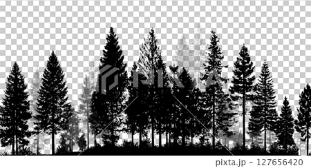 並木道と木々の美しいシルエット木立のシルエット | Silhouettes of Trees Lin 127656420