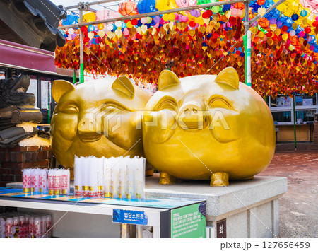 釜山 海東龍宮寺 黄金の豚像 釜山 海東龍宮寺 黄金の豚像 127656459