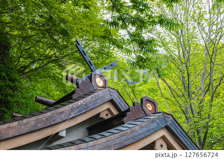 戸隠神社奥社本殿 127656724
