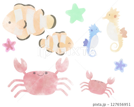 ふんわり海の生き物セット 127656951