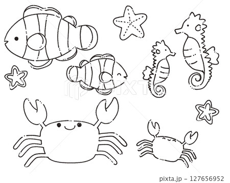 ふんわり海の生き物セット 127656952