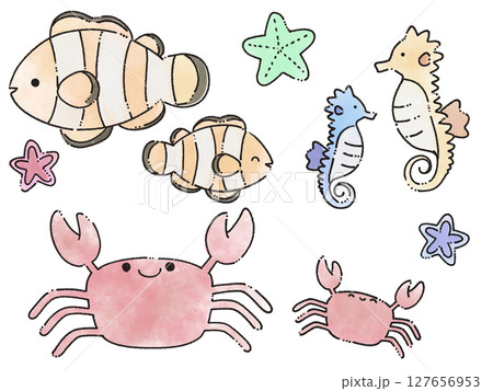 ふんわり海の生き物セット 127656953