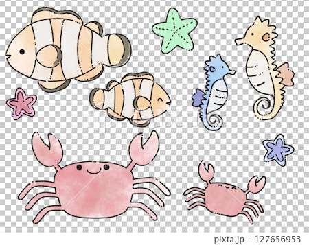 ふんわり海の生き物セット 127656953