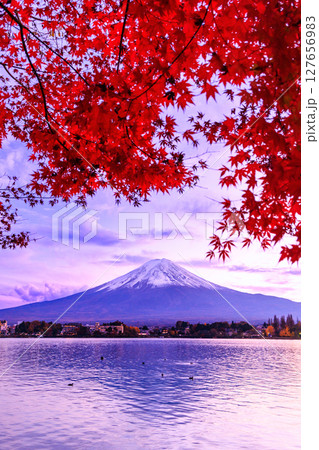 秋の富士山の絶景　夕暮れの河口湖　山梨県河口湖町 127656983