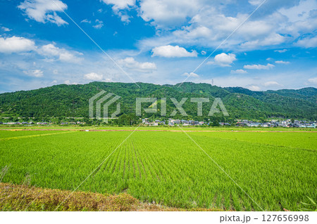 湖北地方余呉の田園風景　滋賀県長浜市余呉町 127656998