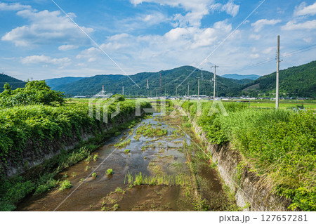 余呉の田園地帯を貫く水路 余呉導水路 滋賀県長浜市余呉町 余呉の田園地帯を貫く水路 余呉導水路 滋賀県長浜市余呉町 127657281