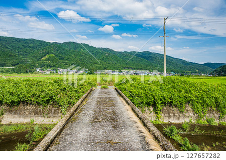 余呉の田園地帯を貫く水路 余呉導水路 滋賀県長浜市余呉町 余呉の田園地帯を貫く水路 余呉導水路 滋賀県長浜市余呉町 127657282