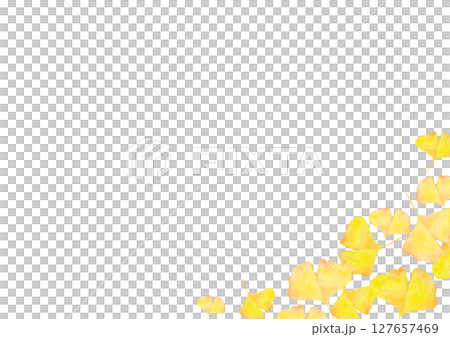 Ginkgo, ginkgo, autumn, watercolor, illustration Ginkgo, ginkgo, autumn, watercolor, illustration 127657469