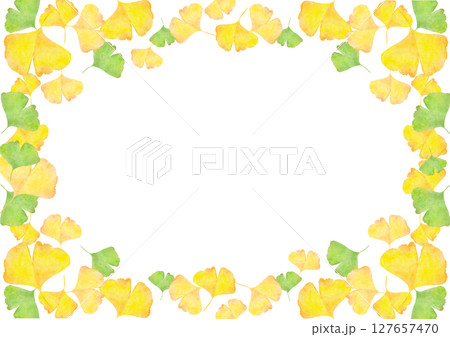 イチョウ　銀杏　秋　水彩　イラスト 127657470