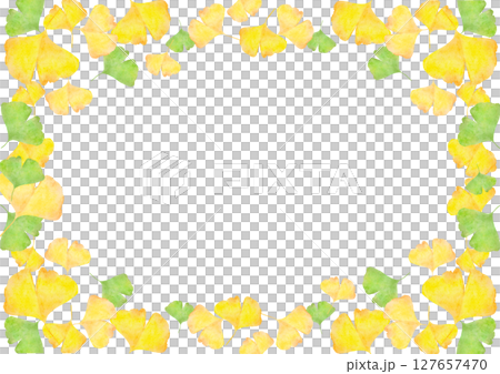 イチョウ　銀杏　秋　水彩　イラスト 127657470