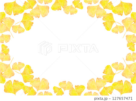 イチョウ　銀杏　秋　水彩　イラスト 127657471