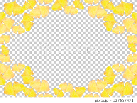 イチョウ　銀杏　秋　水彩　イラスト 127657471