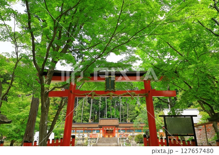 新緑の大原野神社 127657480
