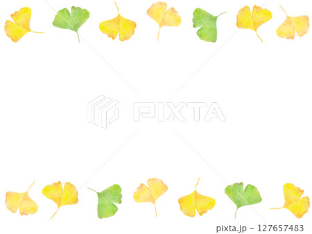 イチョウ　銀杏　秋　水彩　イラスト 127657483