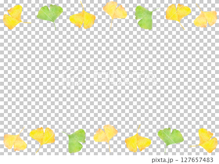 イチョウ　銀杏　秋　水彩　イラスト 127657483