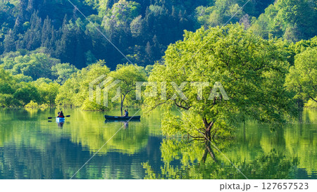 白川湖の水没林 127657523