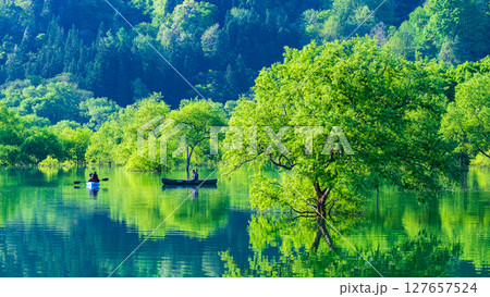 白川湖の水没林 白川湖の水没林 127657524