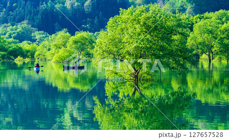 白川湖の水没林 127657528