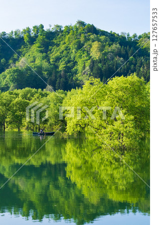 白川湖の水没林 127657533