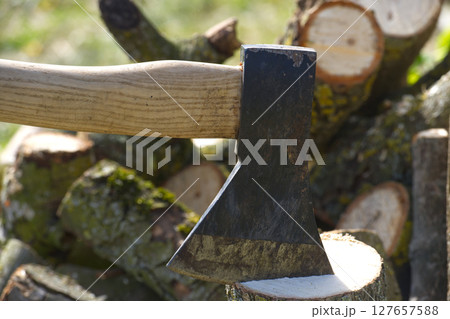 Well-used axe is ready for action, resting on a freshly cut log with a blurred background of more wood. Well-used axe is ready for action, resting on a freshly cut log with a blurred background of more wood. 127657588