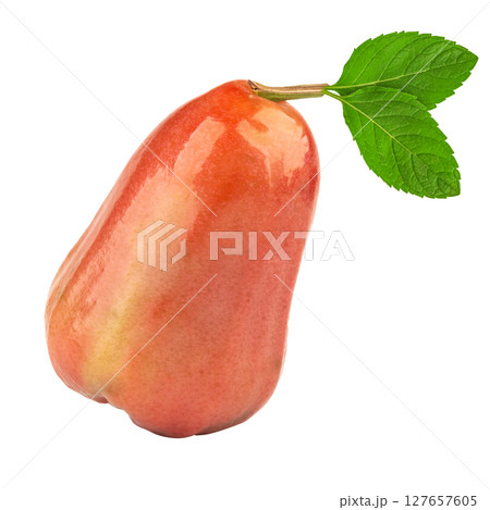 rose apple slice piece on white fruit 127657605