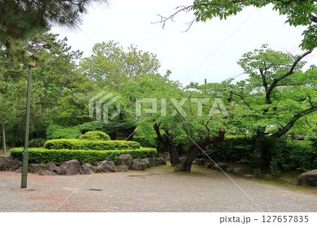白山公園の景観 127657835
