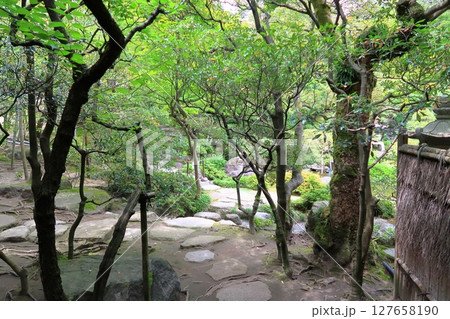 旧齋藤家別邸の景観 旧齋藤家別邸の景観 127658190