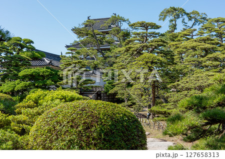 香川県、史跡高松城跡玉藻公園の披雲閣のお庭 127658313