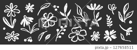 Flower brush paint stroke set. Hand drawn floral flower, leaf graffiti elements in brush paint silhouette set. Vector black ink stroke doodle floral texture sketch spring pattern. Vector 127658511