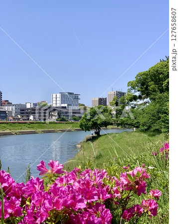 満開の躑躅越しに見る五月晴れの青空に彩られた対岸のオトリバーサイドテラス〈乙川河川敷/愛知県岡崎市〉 127658607