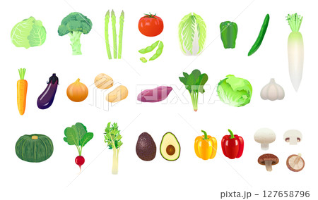 さまざまな野菜のセット 127658796