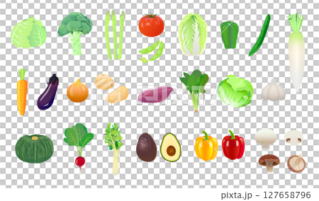 さまざまな野菜のセット 127658796