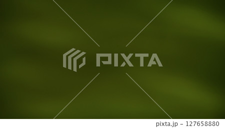 Green glow. Blurred gradient. Defocused radiant optical lens flare on modern gleaming light abstract background. 127658880