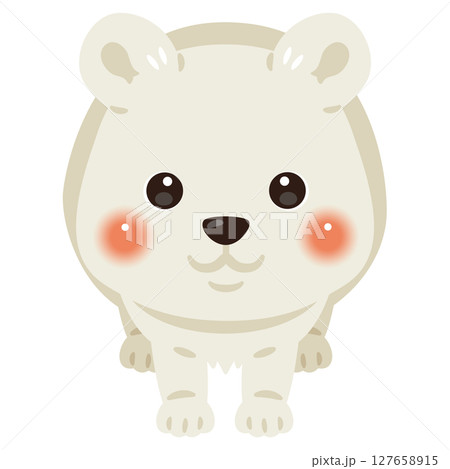 正面から見たシロクマのイラスト 127658915