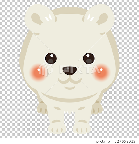 正面から見たシロクマのイラスト 127658915