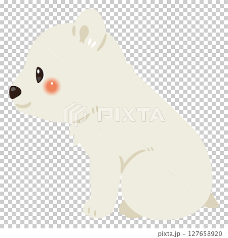 お座りしたシロクマの横向きイラスト 127658920
