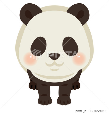 正面から見たパンダのイラスト　模様のみ 127659032