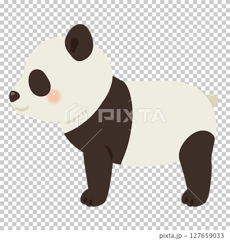 Panda illustration (sideways) - pattern only 127659033