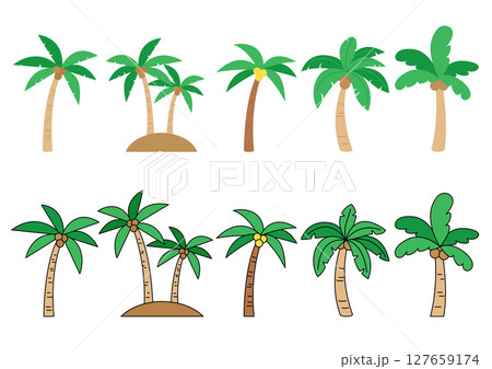 Vector illustration of palm trees. Vector illustration of palm trees. 127659174