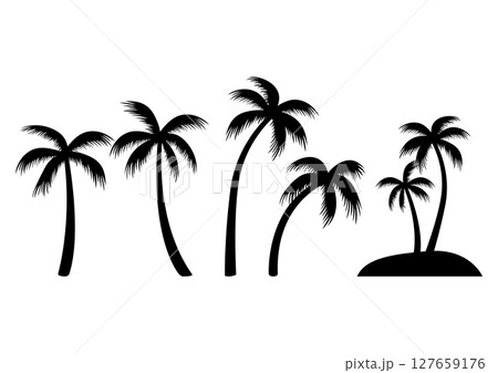 Vector illustration of palm trees. 127659176
