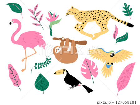 Vector illustration of tropical plants and animals. 127659181