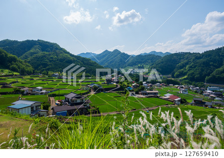 秋山の田園風景　富岡の棚田 127659410