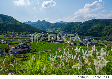 秋山の田園風景 富岡の棚田 秋山の田園風景 富岡の棚田 127659411