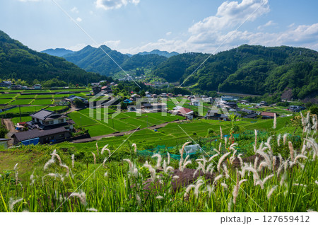 秋山の田園風景　富岡の棚田 127659412